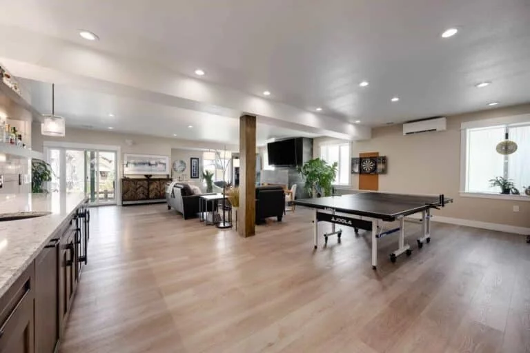Modern Basement
